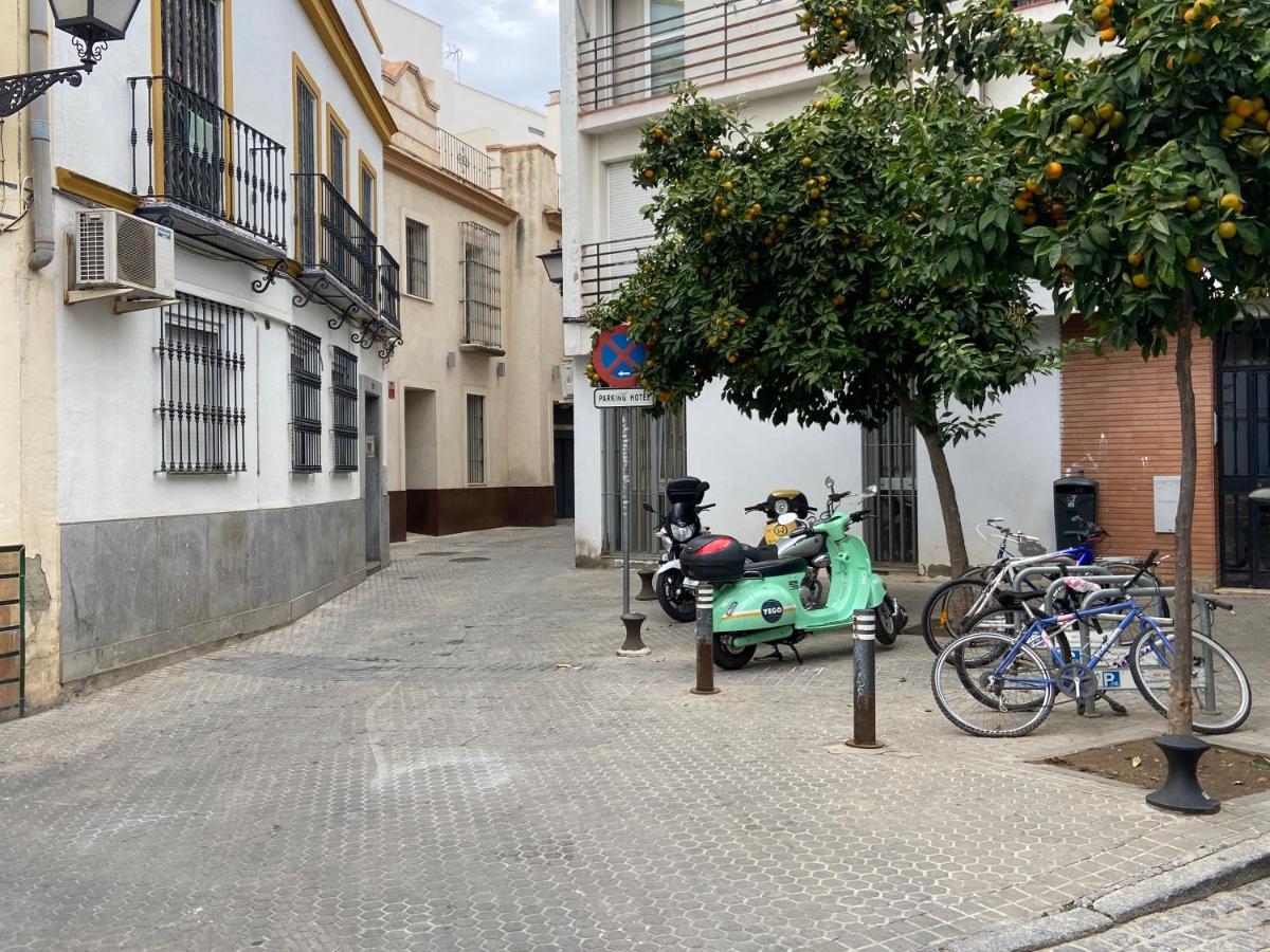 Apartment Wall Center - Aloha Sevilla Экстерьер фото