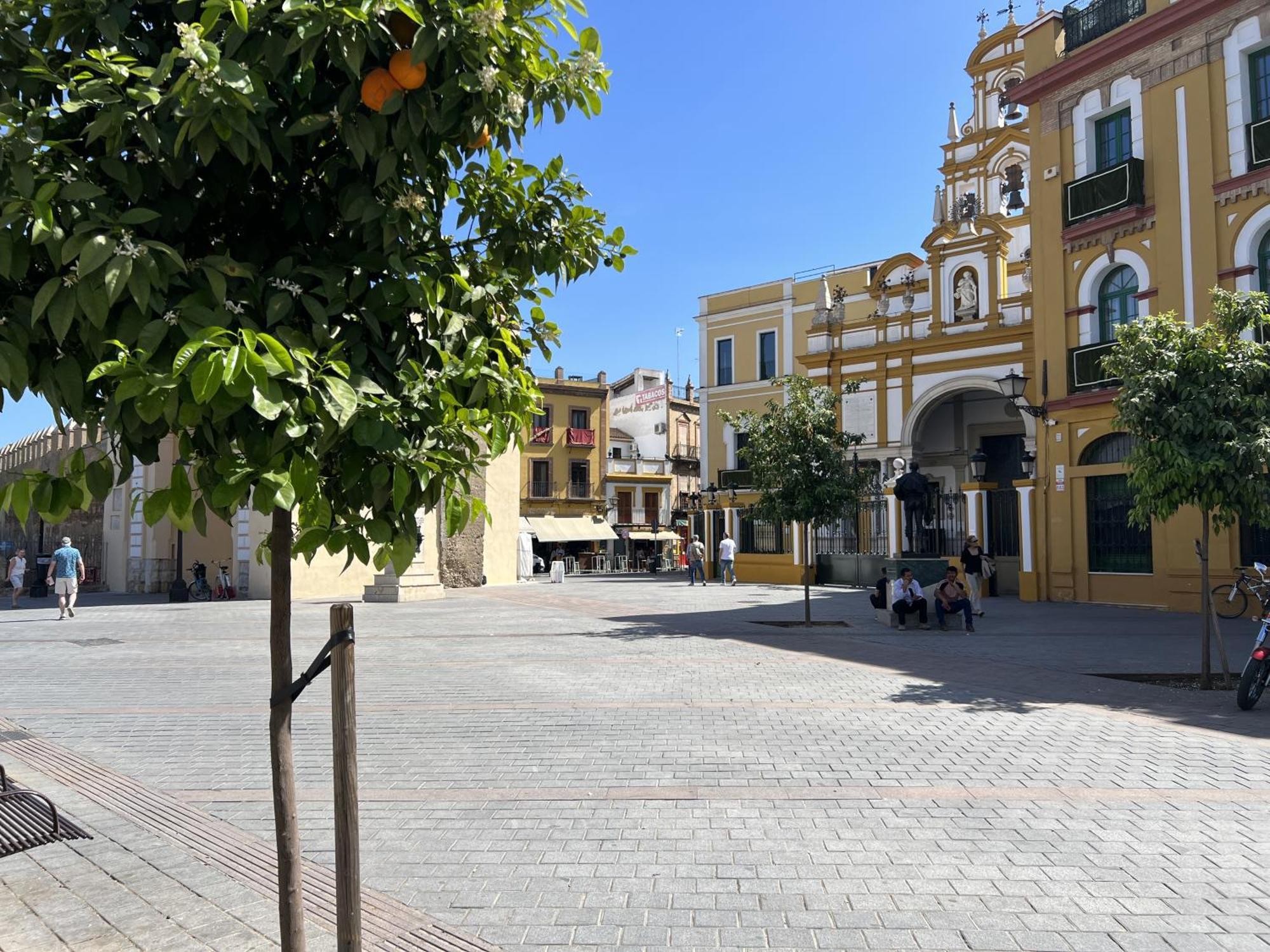 Apartment Wall Center - Aloha Sevilla Экстерьер фото